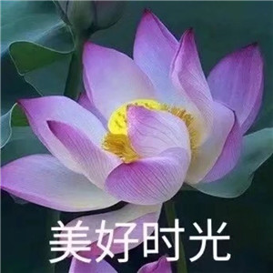 绝美好看的莲花微信头像大全🌸 其它头像 第9张 绝美好看的莲花微信头像大全🌸 其它头像 第9张