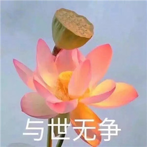 绝美好看的莲花微信头像大全🌸 其它头像 第31张 绝美好看的莲花微信头像大全🌸 其它头像 第31张