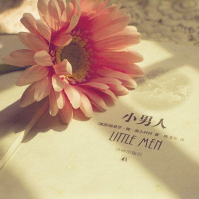 文艺小清新图片头像来袭✨ 其它头像 第22张 文艺小清新图片头像来袭✨ 其它头像 第22张
