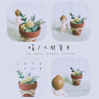 被唯美静物图片小清新头像美到啦😍 其它头像 第19张