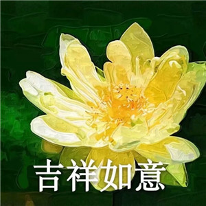 绝美好看的莲花微信头像大全🌸 其它头像 第19张 绝美好看的莲花微信头像大全🌸 其它头像 第19张