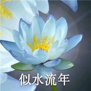 绝美好看的莲花微信头像大全🌸 其它头像 第17张 绝美好看的莲花微信头像大全🌸 其它头像 第17张