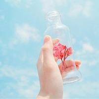 唯美瓶子图片头像大集合✨,速来收藏 其它头像 第26张 唯美瓶子图片头像大集合✨,速来收藏 其它头像 第26张