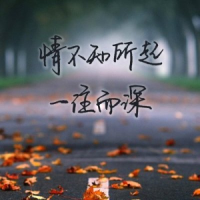 绝美！微信带字头像大全✨高清唯美超好看 其它头像 第4张