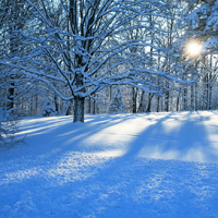 被美哭😭这些唯美QQ雪景头像太绝啦 风景头像 第29张 被美哭😭这些唯美QQ雪景头像太绝啦 风景头像 第29张