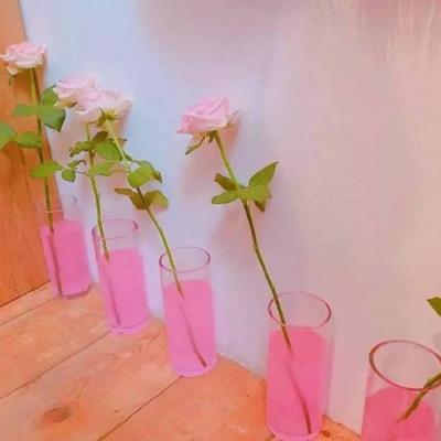 🌸唯美花朵微信头像来袭，每一张都美到心巴上！  其它头像 第22张