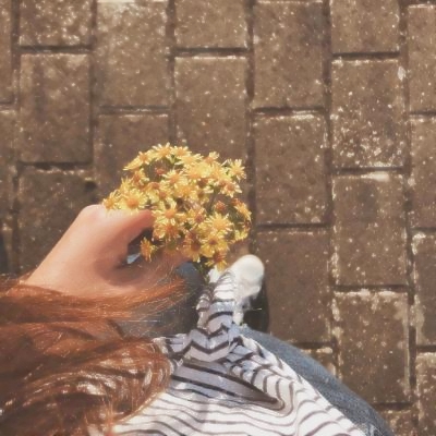 唯美头像静物,治愈你的视觉 其它头像 第2张 唯美头像静物,治愈你的视觉 其它头像 第2张