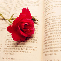 被狠狠拿捏的简约干净QQ头像✨ 其它头像 第29张 被狠狠拿捏的简约干净QQ头像✨ 其它头像 第29张