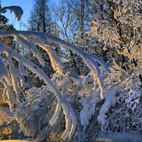 被美哭😭这些唯美QQ雪景头像太绝啦 风景头像 第27张 被美哭😭这些唯美QQ雪景头像太绝啦 风景头像 第27张