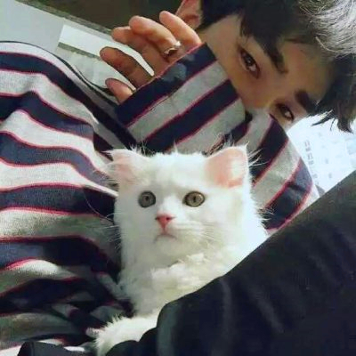 🆘被这组抱猫帅气男头像帅晕啦! 男生头像 第2张 🆘被这组抱猫帅气男头像帅晕啦! 男生头像 第2张