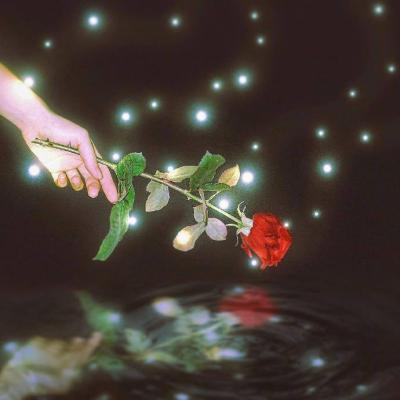 🌸唯美花朵微信头像来袭，每一张都美到心巴上！  其它头像 第8张