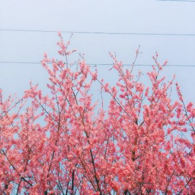 🌈超全招好运头像图片来袭,快来挑选! 其它头像 第6张 🌈超全招好运头像图片来袭,快来挑选! 其它头像 第6张