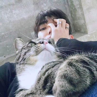 🆘被这组抱猫帅气男头像帅晕啦! 男生头像 第3张 🆘被这组抱猫帅气男头像帅晕啦! 男生头像 第3张