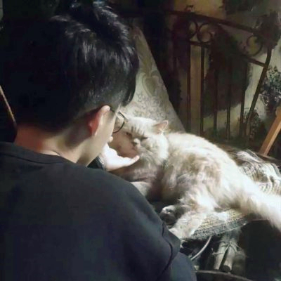 🆘被这组抱猫帅气男头像帅晕啦! 男生头像 第10张 🆘被这组抱猫帅气男头像帅晕啦! 男生头像 第10张