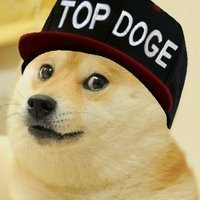 🐕超绝!Doge神烦狗可爱搞笑QQ头像来袭 其它头像 第11张 🐕超绝!Doge神烦狗可爱搞笑QQ头像来袭 其它头像 第11张