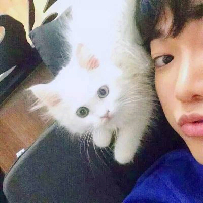 🆘被这组抱猫帅气男头像帅晕啦! 男生头像 第18张 🆘被这组抱猫帅气男头像帅晕啦! 男生头像 第18张