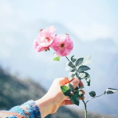 唯美头像静物,治愈你的视觉 其它头像 第1张 唯美头像静物,治愈你的视觉 其它头像 第1张