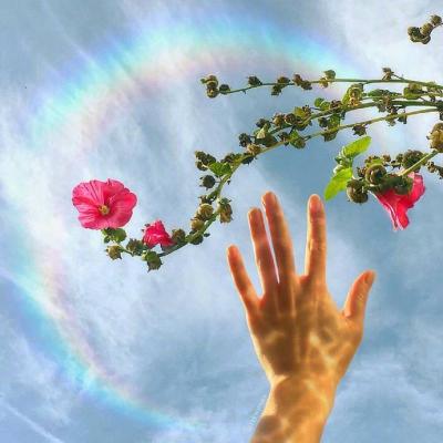 🌸唯美花朵微信头像来袭，每一张都美到心巴上！  其它头像 第3张