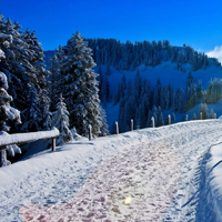 被美哭😭这些唯美QQ雪景头像太绝啦 风景头像 第35张 被美哭😭这些唯美QQ雪景头像太绝啦 风景头像 第35张