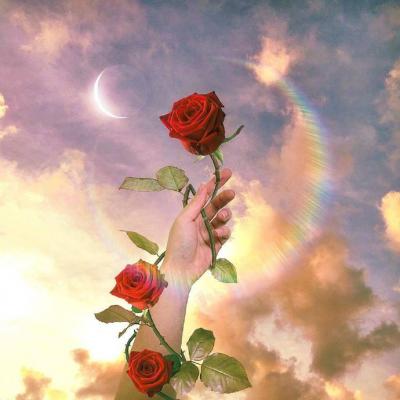 🌸唯美花朵微信头像来袭，每一张都美到心巴上！  其它头像 第2张