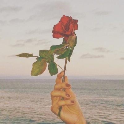 🌸唯美花朵微信头像来袭，每一张都美到心巴上！  其它头像 第12张