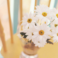 被狠狠拿捏的简约干净QQ头像✨ 其它头像 第11张 被狠狠拿捏的简约干净QQ头像✨ 其它头像 第11张