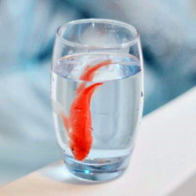微信头像风景意境静物,氛围感拉满 风景头像 第6张 微信头像风景意境静物,氛围感拉满 风景头像 第6张