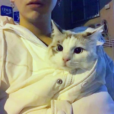🆘被这组抱猫帅气男头像帅晕啦! 男生头像 第9张 🆘被这组抱猫帅气男头像帅晕啦! 男生头像 第9张