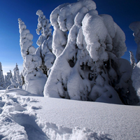 被美哭😭这些唯美QQ雪景头像太绝啦 风景头像 第32张 被美哭😭这些唯美QQ雪景头像太绝啦 风景头像 第32张