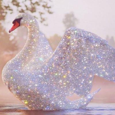 🌟超灵验！能带来好运的微信头像大全 其它头像 第4张