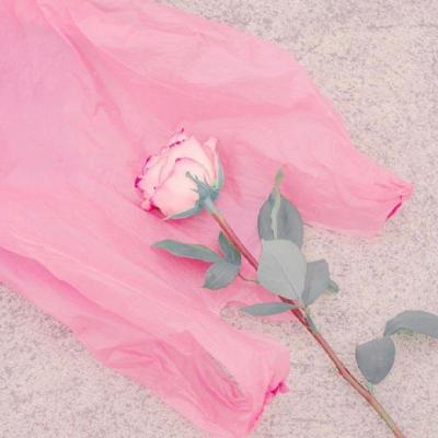 🌸唯美花朵微信头像来袭，每一张都美到心巴上！  其它头像 第23张