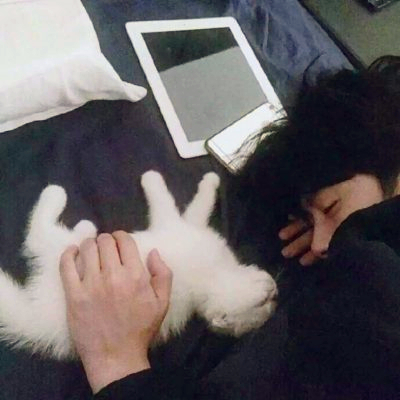 🆘被这组抱猫帅气男头像帅晕啦! 男生头像 第4张 🆘被这组抱猫帅气男头像帅晕啦! 男生头像 第4张