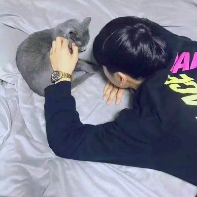 🆘被这组抱猫帅气男头像帅晕啦! 男生头像 第14张 🆘被这组抱猫帅气男头像帅晕啦! 男生头像 第14张