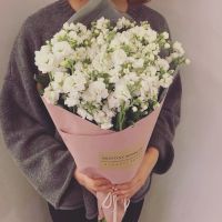 绝美捧花头像女,氛围感拉满✨ 女生头像 第16张 绝美捧花头像女,氛围感拉满✨ 女生头像 第16张