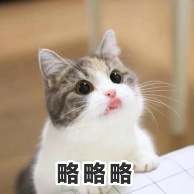 🐱超萌!带字猫咪头像来袭,萌趣又吸睛 动物头像 第19张 🐱超萌!带字猫咪头像来袭,萌趣又吸睛 动物头像 第19张
