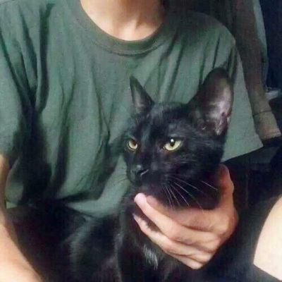 🆘被这组抱猫帅气男头像帅晕啦! 男生头像 第5张 🆘被这组抱猫帅气男头像帅晕啦! 男生头像 第5张
