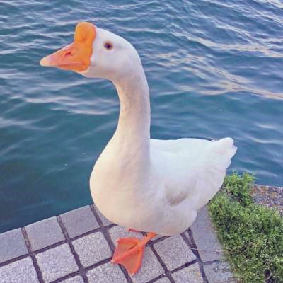 微信头像风景意境静物,氛围感拉满 风景头像 第5张 微信头像风景意境静物,氛围感拉满 风景头像 第5张