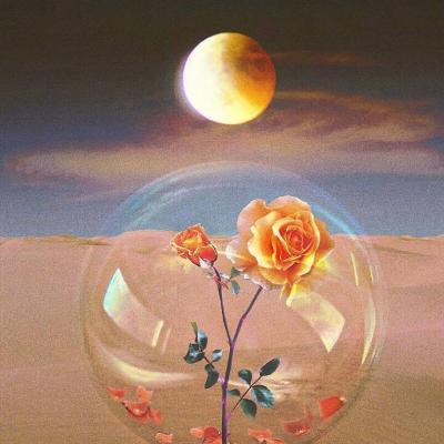 🌅被这些新款风景微信头像美到啦！ 风景头像 第14张