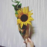 🌻被这组清新高清的向日葵头像美到啦！ 其它头像 第5张