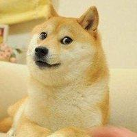 🐕超绝!Doge神烦狗可爱搞笑QQ头像来袭 其它头像 第4张 🐕超绝!Doge神烦狗可爱搞笑QQ头像来袭 其它头像 第4张
