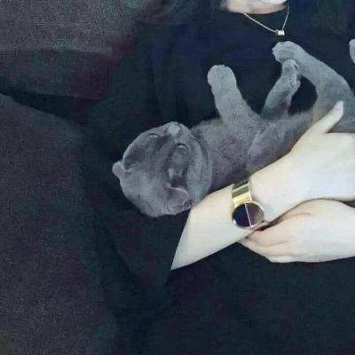 🆘被这组抱猫帅气男头像帅晕啦! 男生头像 第16张 🆘被这组抱猫帅气男头像帅晕啦! 男生头像 第16张