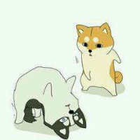 🐕超绝!Doge神烦狗可爱搞笑QQ头像来袭 其它头像 第10张 🐕超绝!Doge神烦狗可爱搞笑QQ头像来袭 其它头像 第10张