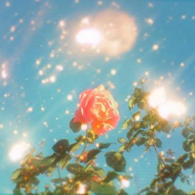 🌸唯美花朵微信头像来袭，每一张都美到心巴上！  其它头像 第6张