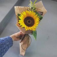 🌻被这组清新高清的向日葵头像美到啦！ 其它头像 第9张