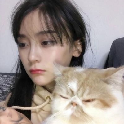 🐱女生抱猫QQ头像图片,萌化你的心 女生头像 第17张 🐱女生抱猫QQ头像图片,萌化你的心 女生头像 第17张