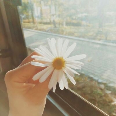 宝藏来袭✨有寓意的微信头像大全 其它头像 第18张