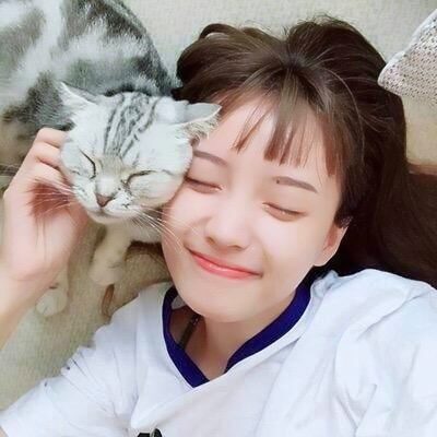 🐱女生抱猫QQ头像图片,萌化你的心 女生头像 第11张 🐱女生抱猫QQ头像图片,萌化你的心 女生头像 第11张