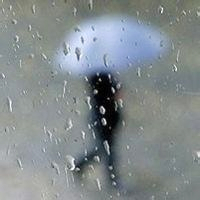 雨中撑伞的女孩背影头像,文艺又孤独🌧️ 女生头像 第7张 雨中撑伞的女孩背影头像,文艺又孤独🌧️ 女生头像 第7张
