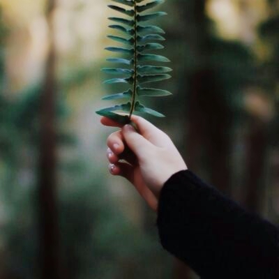 宝藏来袭✨有寓意的微信头像大全 其它头像 第4张
