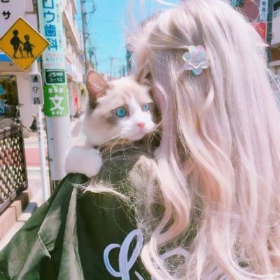 🐱女生抱猫QQ头像图片,萌化你的心 女生头像 第16张 🐱女生抱猫QQ头像图片,萌化你的心 女生头像 第16张